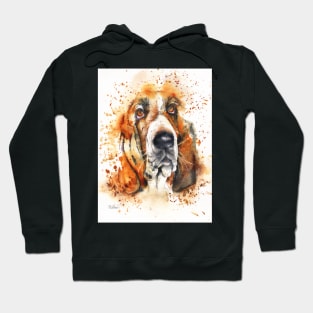 Wet Basset Hoodie